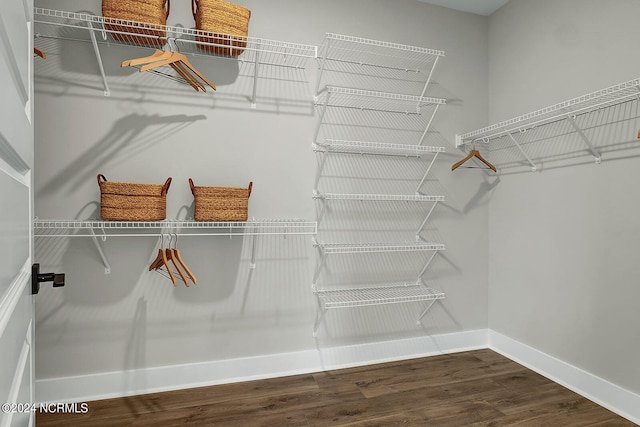 spacious closet featuring hardwood / wood-style floors