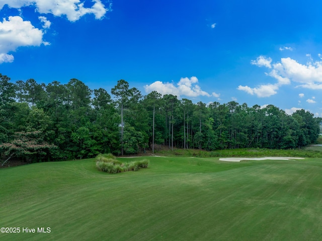 1611 Golfers Ridge Dr SE, Bolivia, NC 28422 - view of community featuring view of golf course and a lawn
