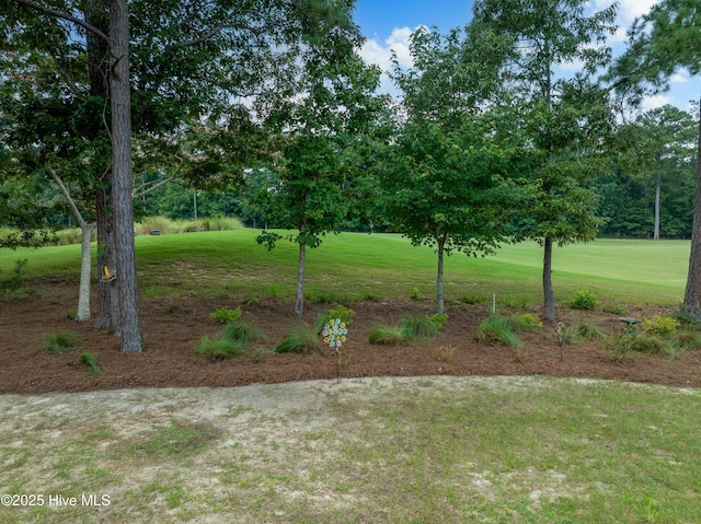 1611 Golfers Ridge Dr SE, Bolivia, NC 28422 - view of grassy yard