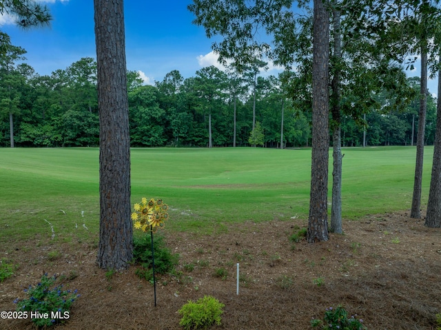 1611 Golfers Ridge Dr SE, Bolivia, NC 28422 - view of grassy yard featuring golf course view and view of scattered trees