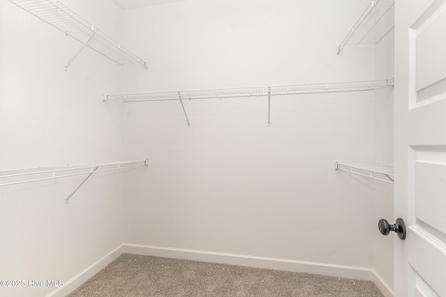 68 Tee Dr, Selma, NC 27576 - walk in closet featuring carpet flooring