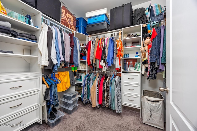 walk in closet with dark colored carpet