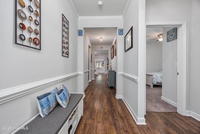 hallway featuring crown molding and dark hardwood / wood-style floors