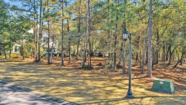 619 Versailles Blvd SW Unit 24, Supply NC, 28462 land for sale