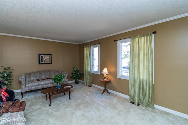 living room featuring baseboards, a textured ceiling, and ornamental molding