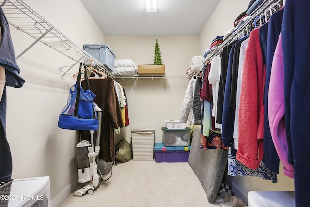 spacious closet featuring carpet