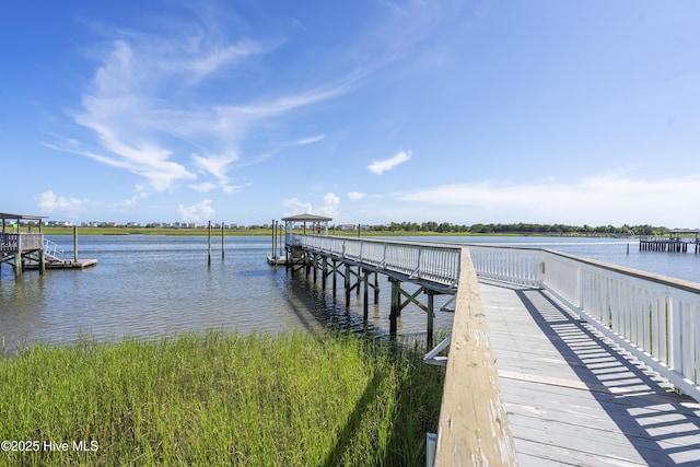 dock area with a water view