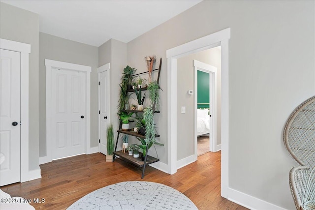 foyer with baseboards and wood finished floors