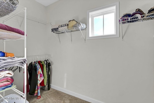 walk in closet featuring carpet floors