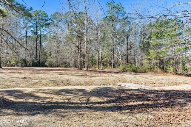 view of yard featuring a view of trees