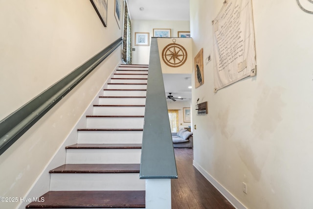 staircase with ceiling fan and hardwood / wood-style floors