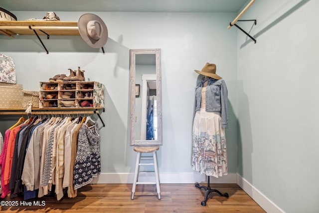 spacious closet with wood-type flooring