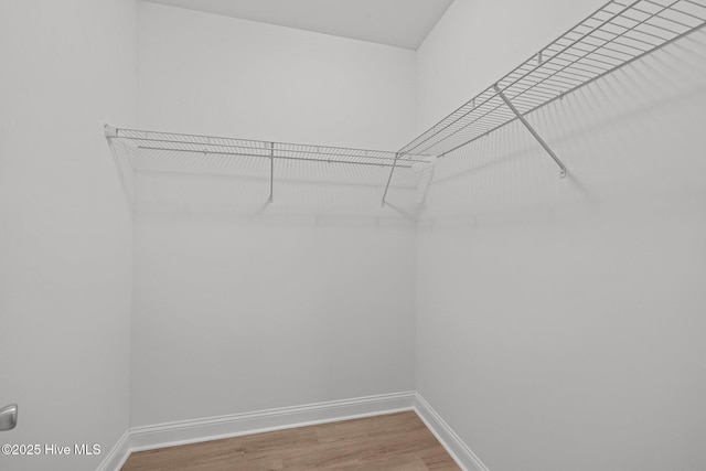 spacious closet with hardwood / wood-style floors