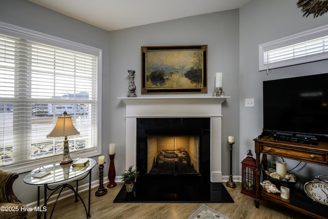 sitting room featuring light hardwood / wood-style flooring