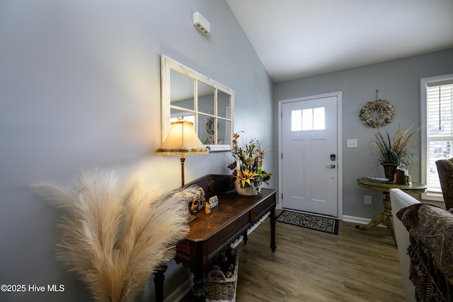 foyer entrance featuring lofted ceiling and wood-type flooring