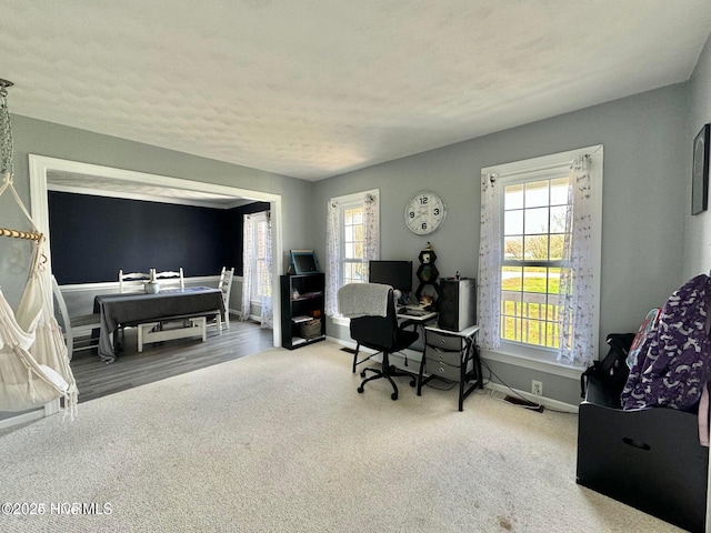 home office with carpet flooring