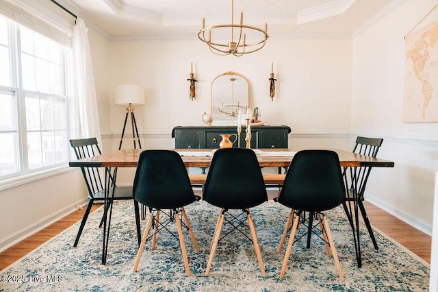 dining space with crown molding, a tray ceiling, wood-type flooring, and plenty of natural light