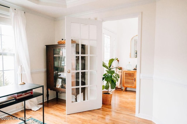 doorway featuring ornamental molding and wood-type flooring