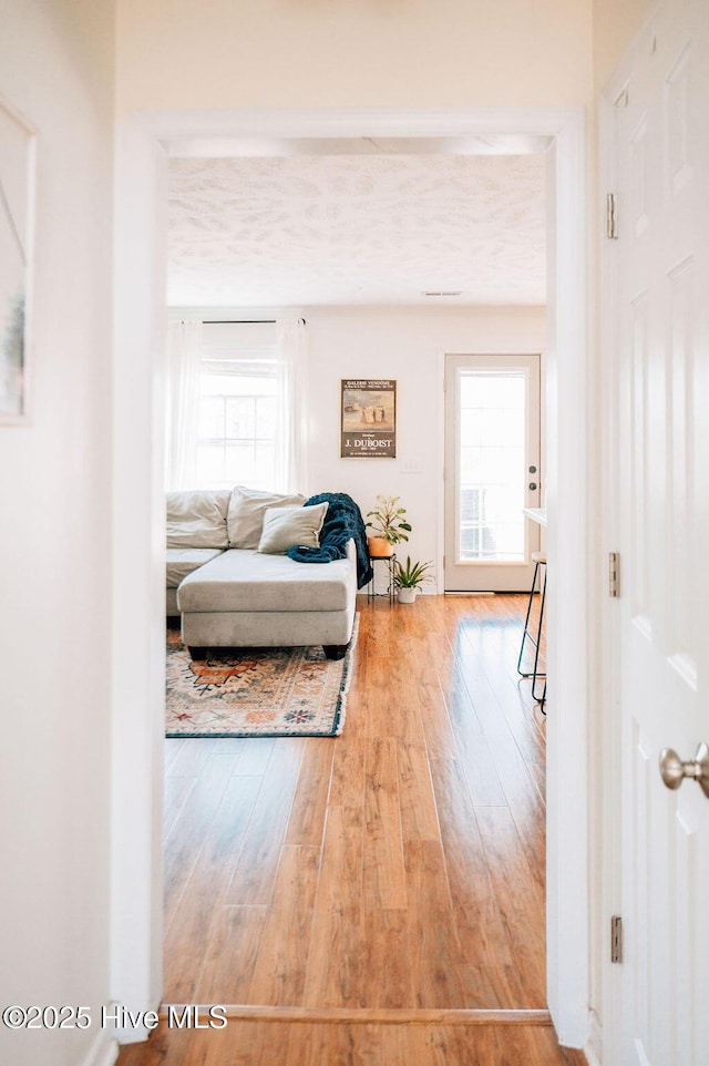 living room with hardwood / wood-style floors