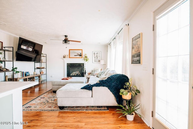 living room featuring crown molding, ceiling fan, wood-type flooring, and a wealth of natural light