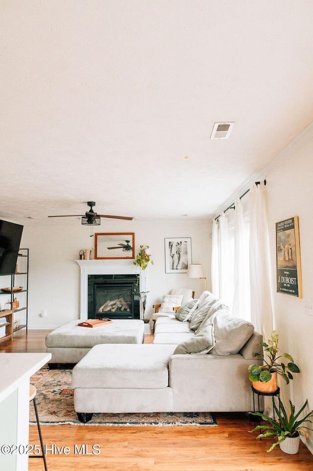 living room featuring hardwood / wood-style floors and ceiling fan