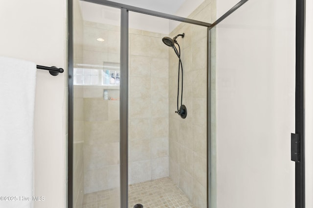 bathroom featuring a shower with shower door