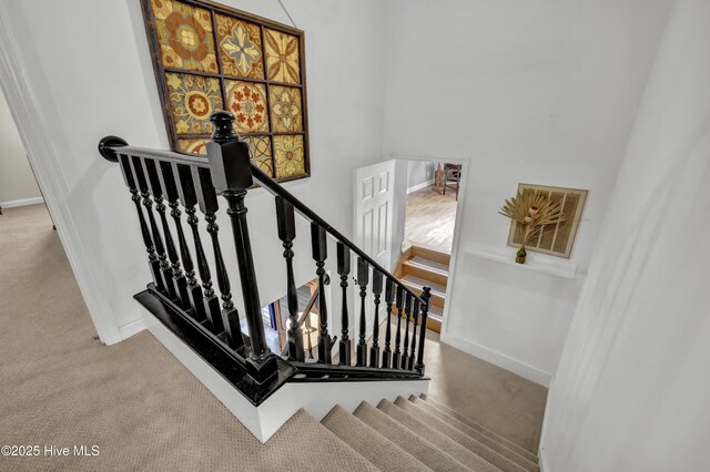 stairway with carpet flooring