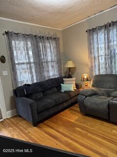 living room featuring wood-type flooring and a textured ceiling