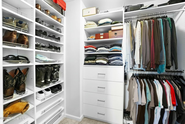 spacious closet with light carpet