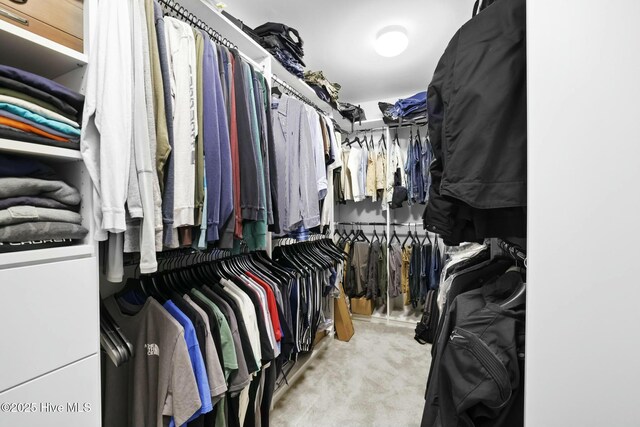 spacious closet with light carpet