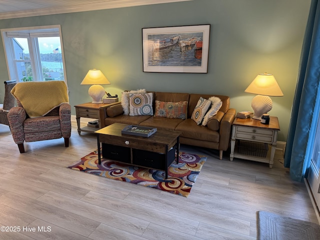 living room featuring crown molding and light hardwood / wood-style flooring