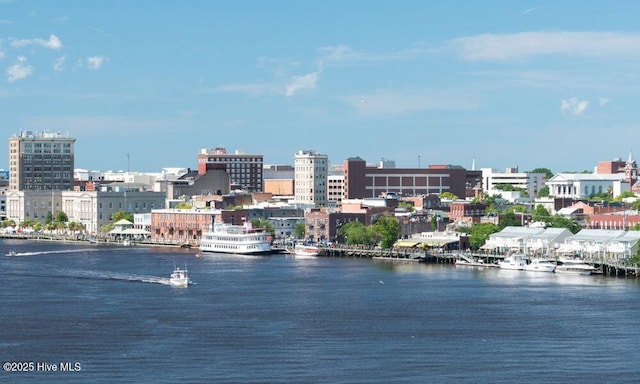 water view featuring a city view