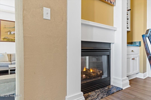 room details with wood finished floors, a glass covered fireplace, and baseboards