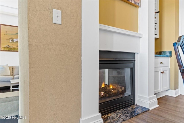 room details featuring baseboards, a glass covered fireplace, and wood finished floors
