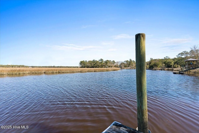 dock area featuring a water view