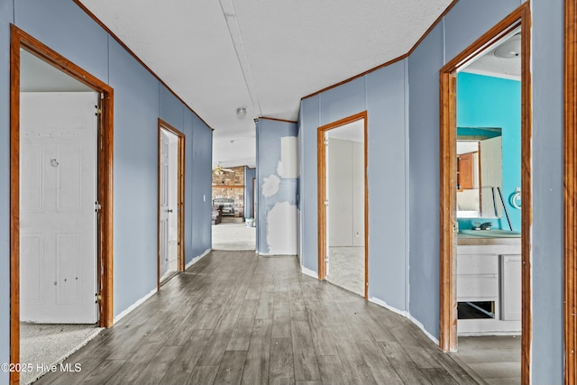 hallway featuring hardwood / wood-style floors, ornamental molding, and sink