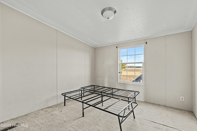 rec room featuring light colored carpet and a textured ceiling