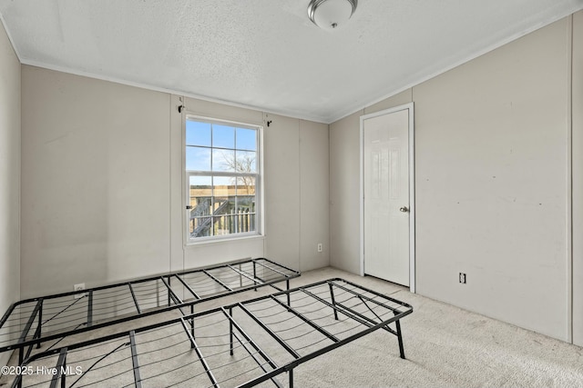 empty room featuring light carpet and a textured ceiling