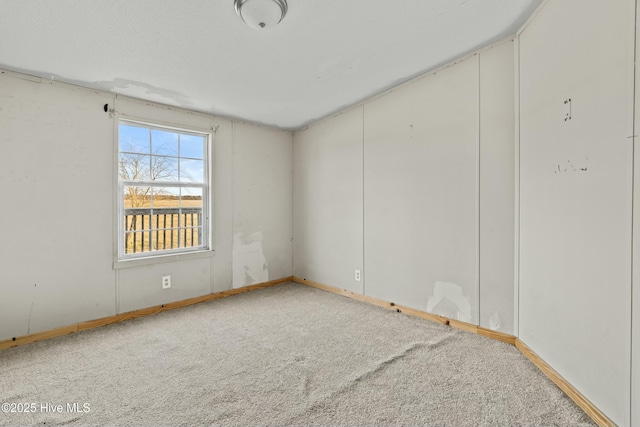 spare room with carpet flooring