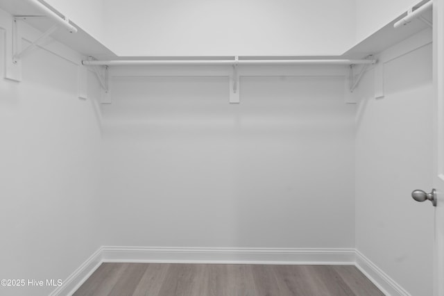 spacious closet featuring wood finished floors