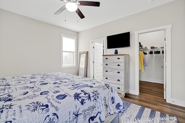 bedroom with a walk in closet, dark wood-type flooring, a closet, and ceiling fan