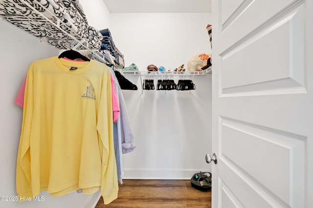 walk in closet with dark hardwood / wood-style flooring