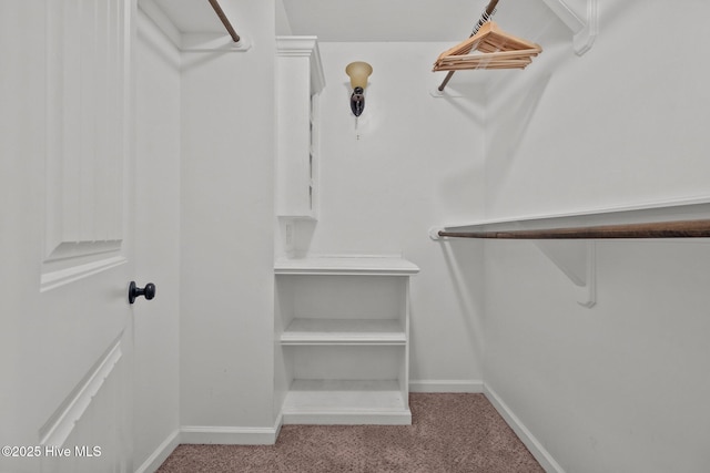 spacious closet featuring light colored carpet