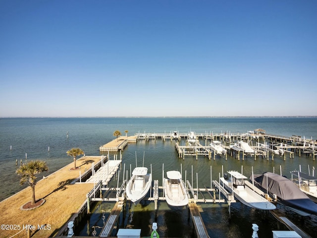 dock area with a water view