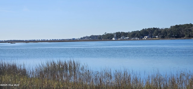 property view of water