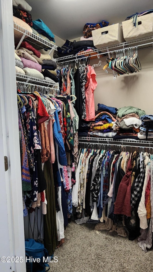 spacious closet with carpet flooring