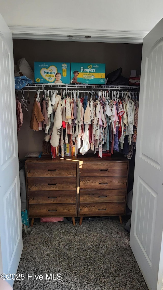 view of closet