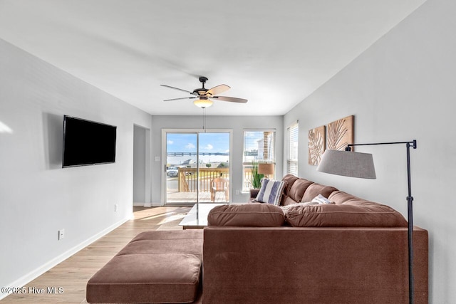 living room with ceiling fan and light wood-type flooring