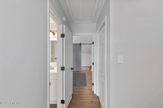 hall featuring a barn door and light hardwood / wood-style floors