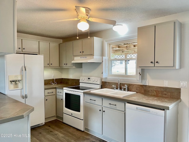 kitchen with sink, white appliances, ceiling fan, dark hardwood / wood-style floors, and a textured ceiling